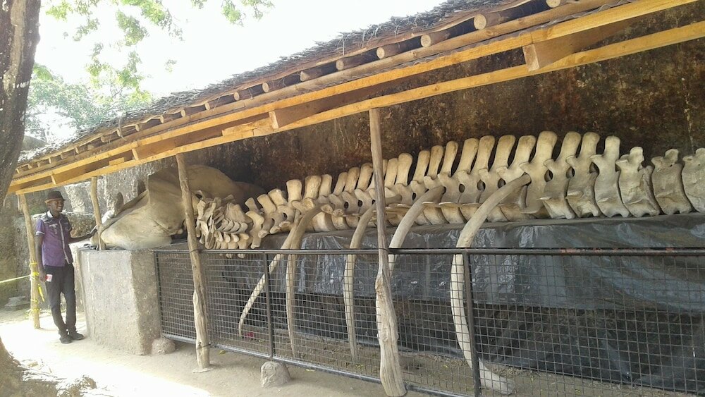 Фото Chamiachi Luxury Apartments