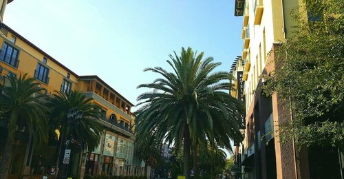 Гостиница Hotel Valencia Santana Row в Сан-Хосе