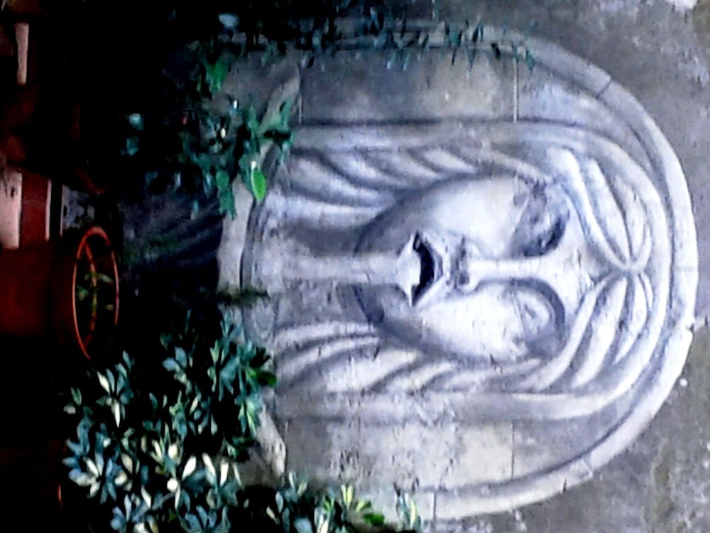 Фото Top Floor Navona