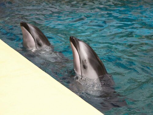 Гостиница Toyoko Inn Fujisan Numazu-eki Kita-guchi No. 2 в Нумадзу