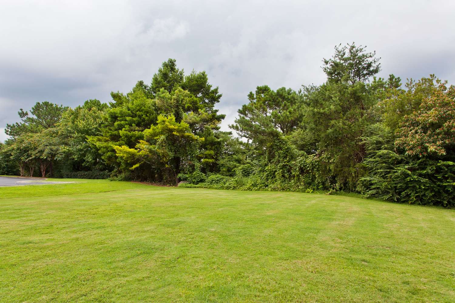 Фото Sonesta Simply Suites Chicago Libertyville