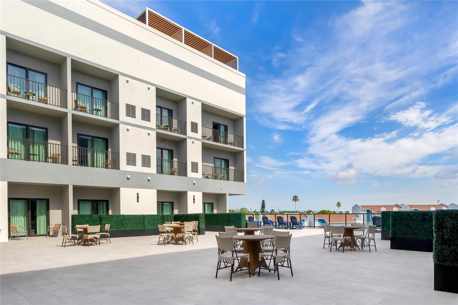 Фото Cambria Hotel St Petersburg-Madeira Beach Marina