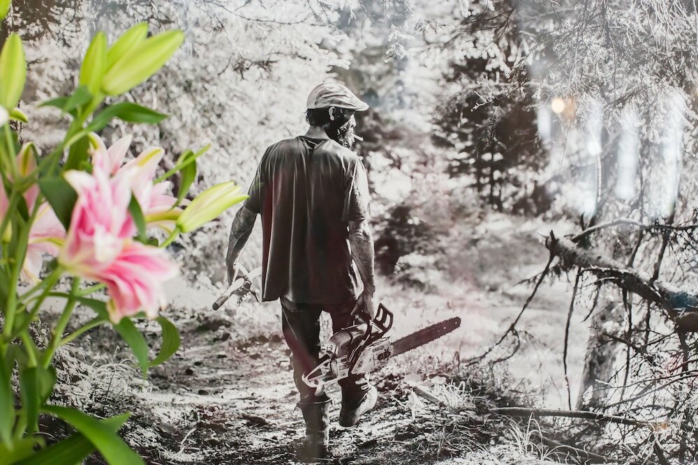 Фото Maison Montagne