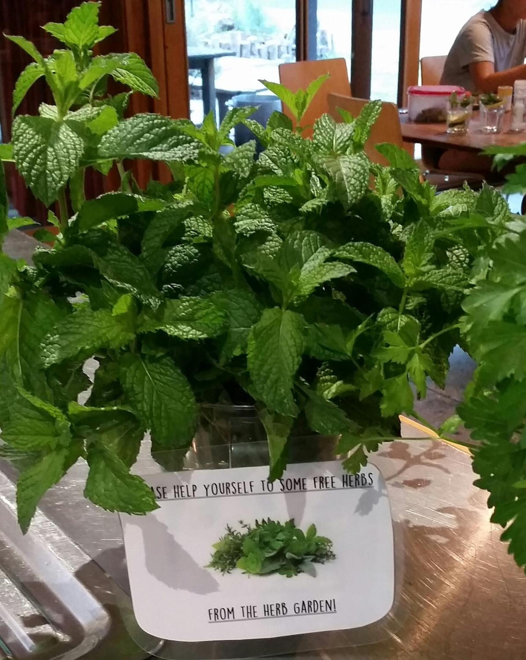 Фото Yha Grampians Eco Halls Gap