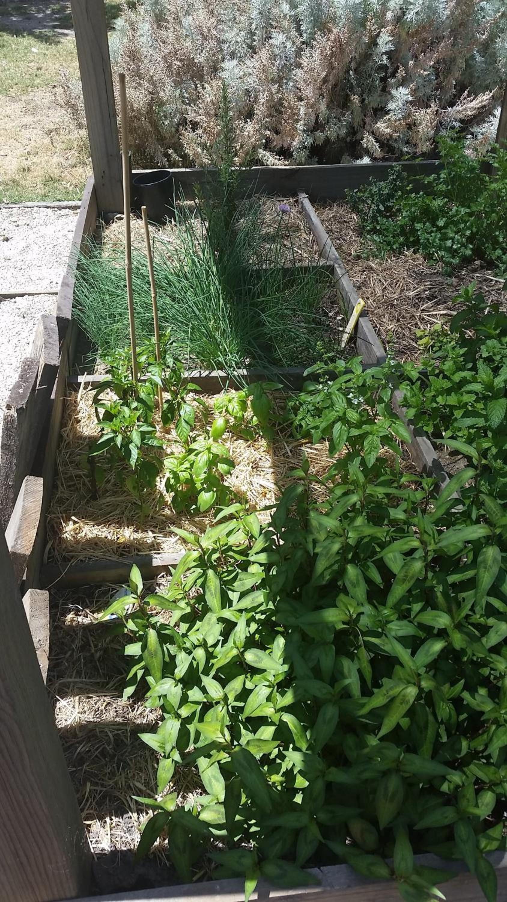 Фото Yha Grampians Eco Halls Gap