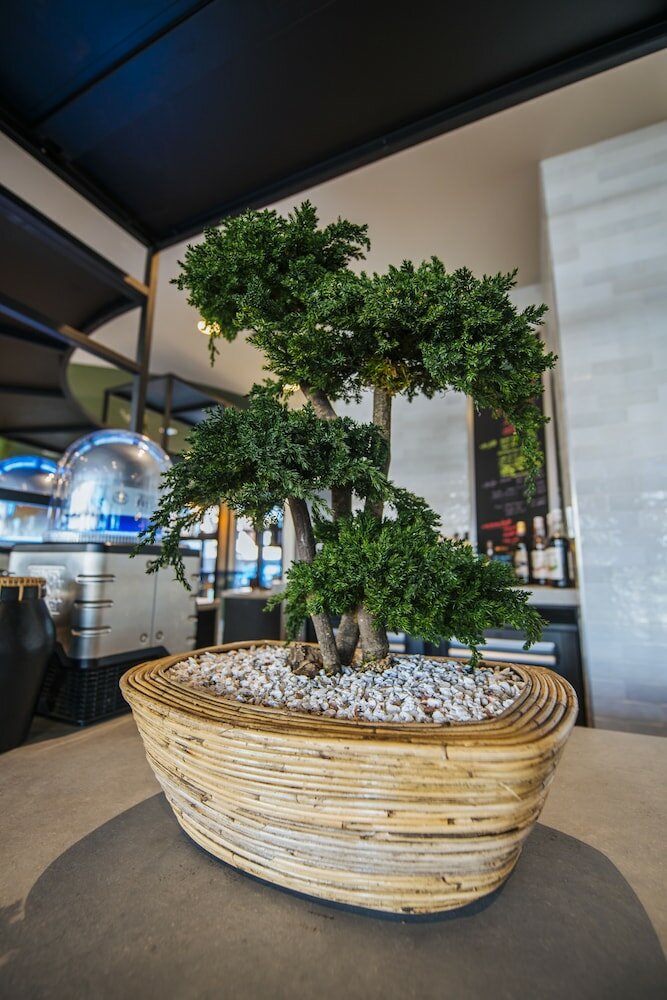 Фото Ibis Budget Rouen Centre Rive Gauche