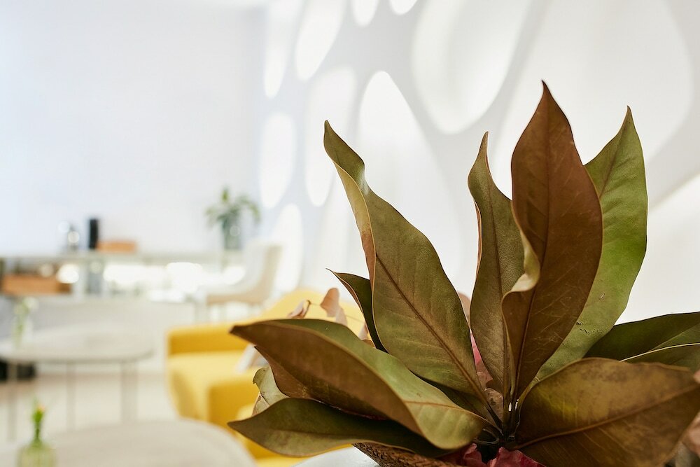 Фото Hotel Boutique Suite Generis