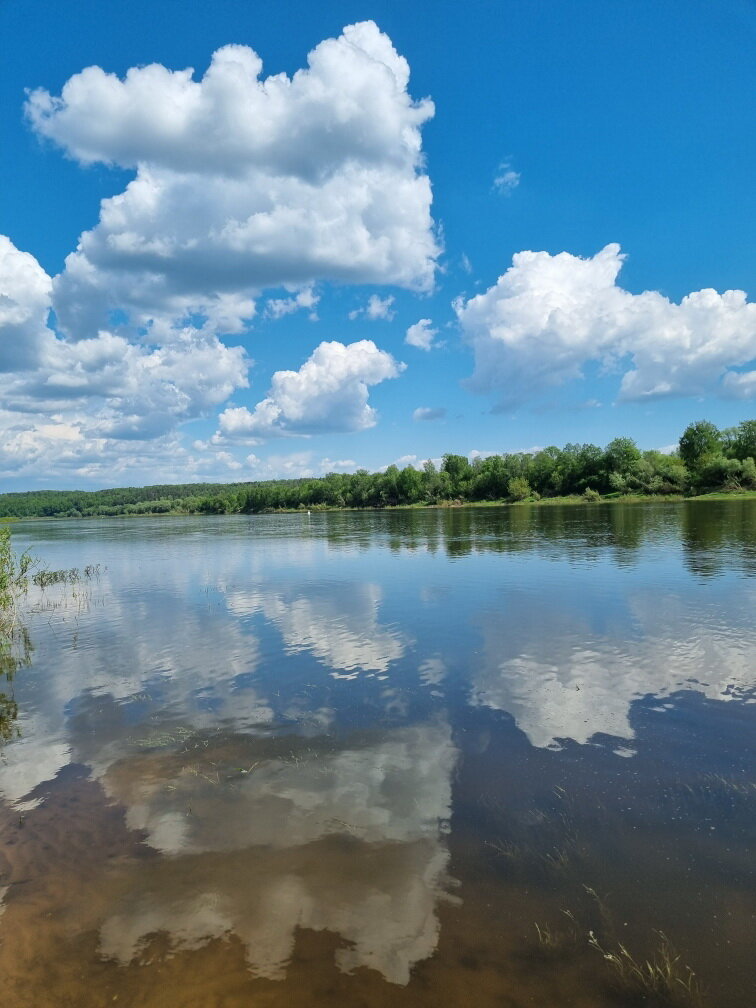 Фото ГК Волковское