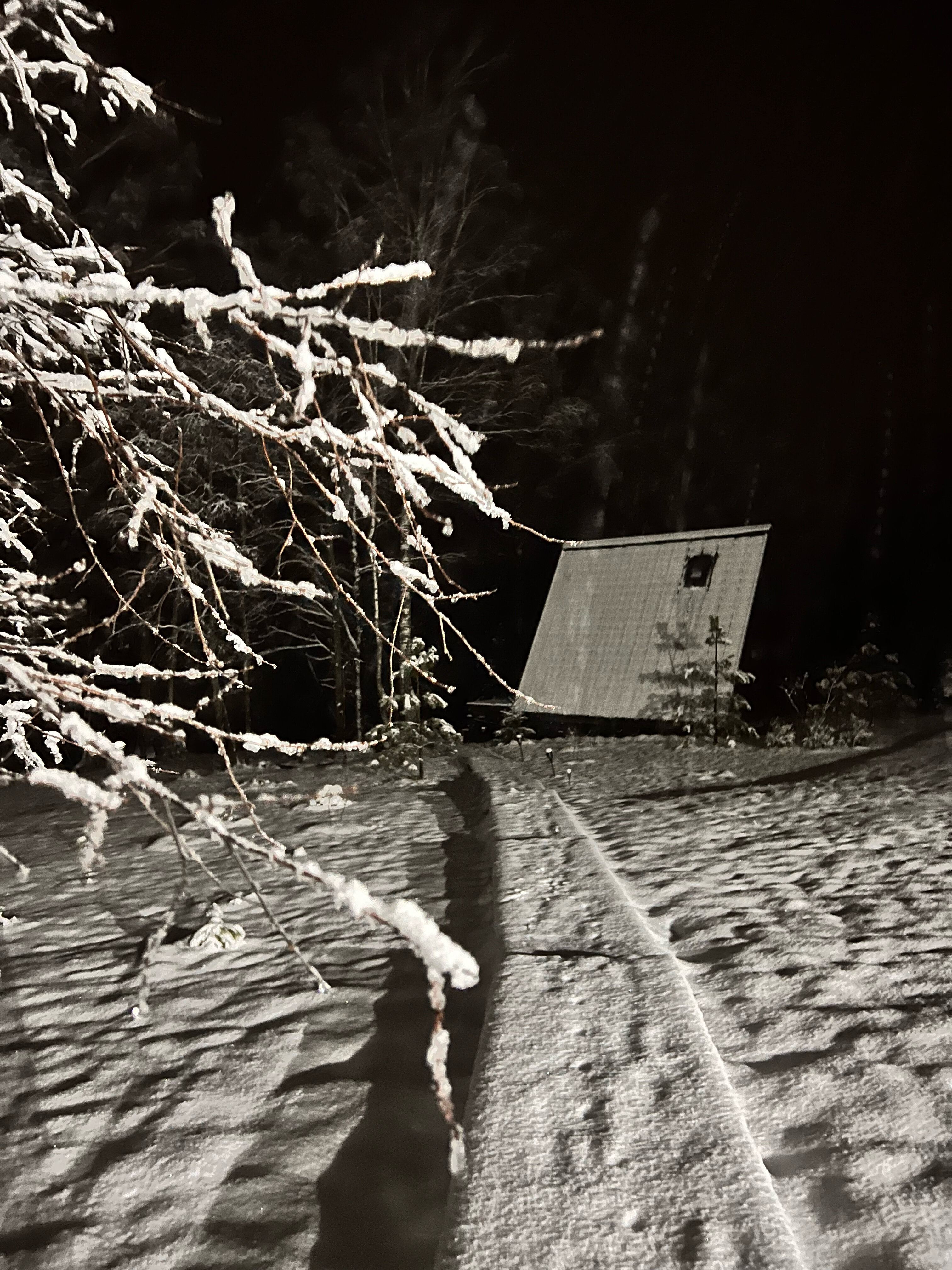 Фото Ильинка лес