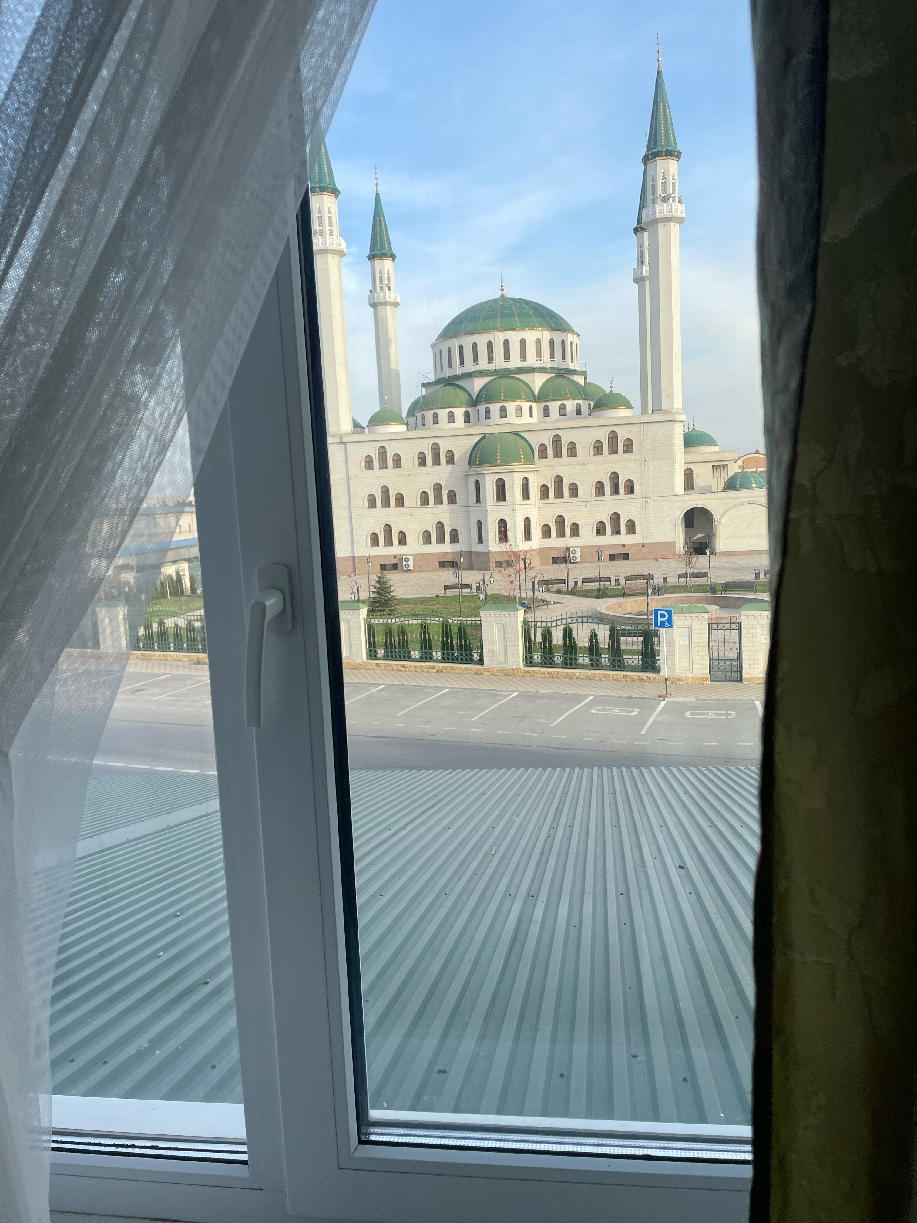 Фото Эдельвейс