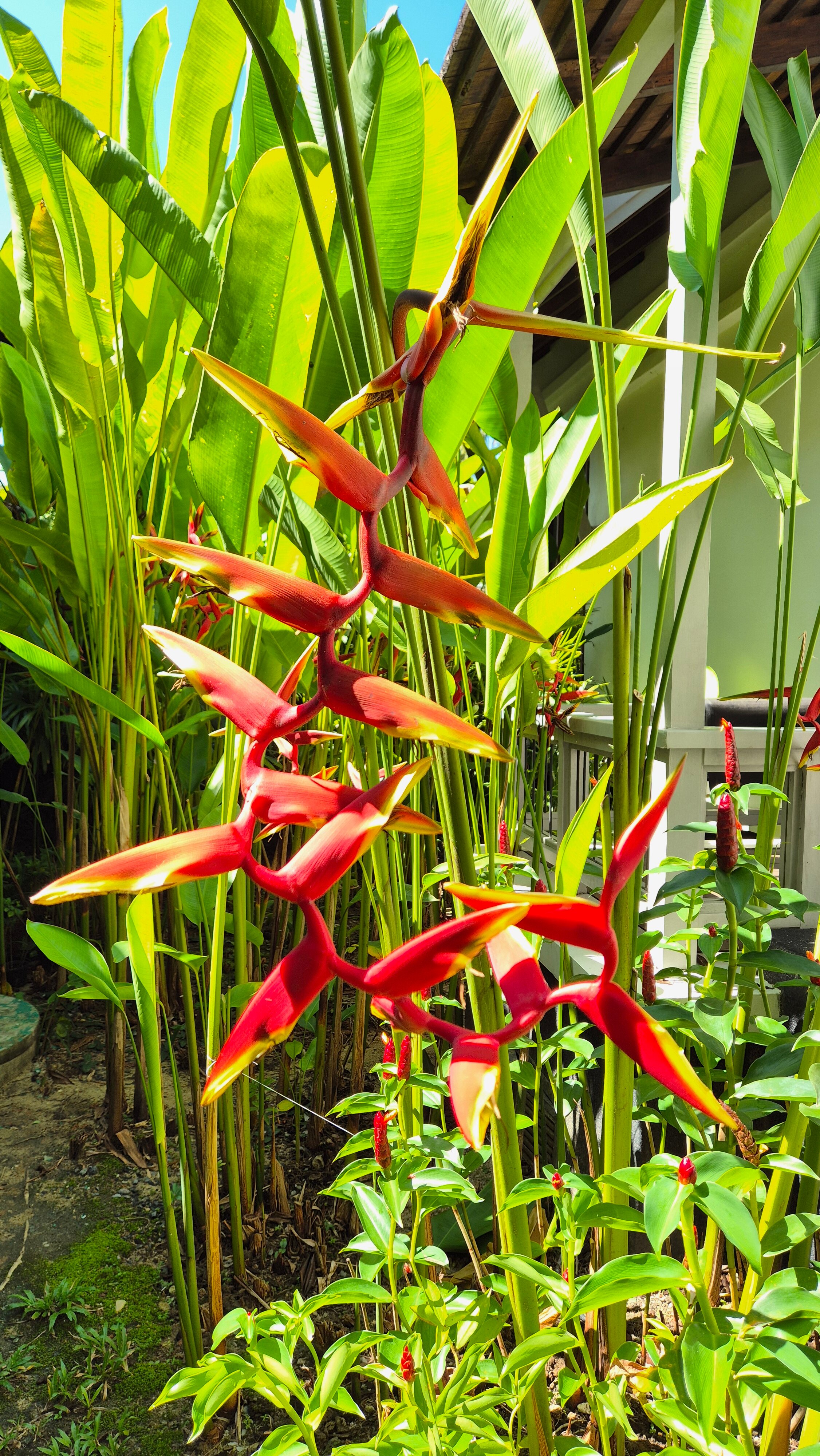 Фото Outrigger Khao Lak Beach Resort