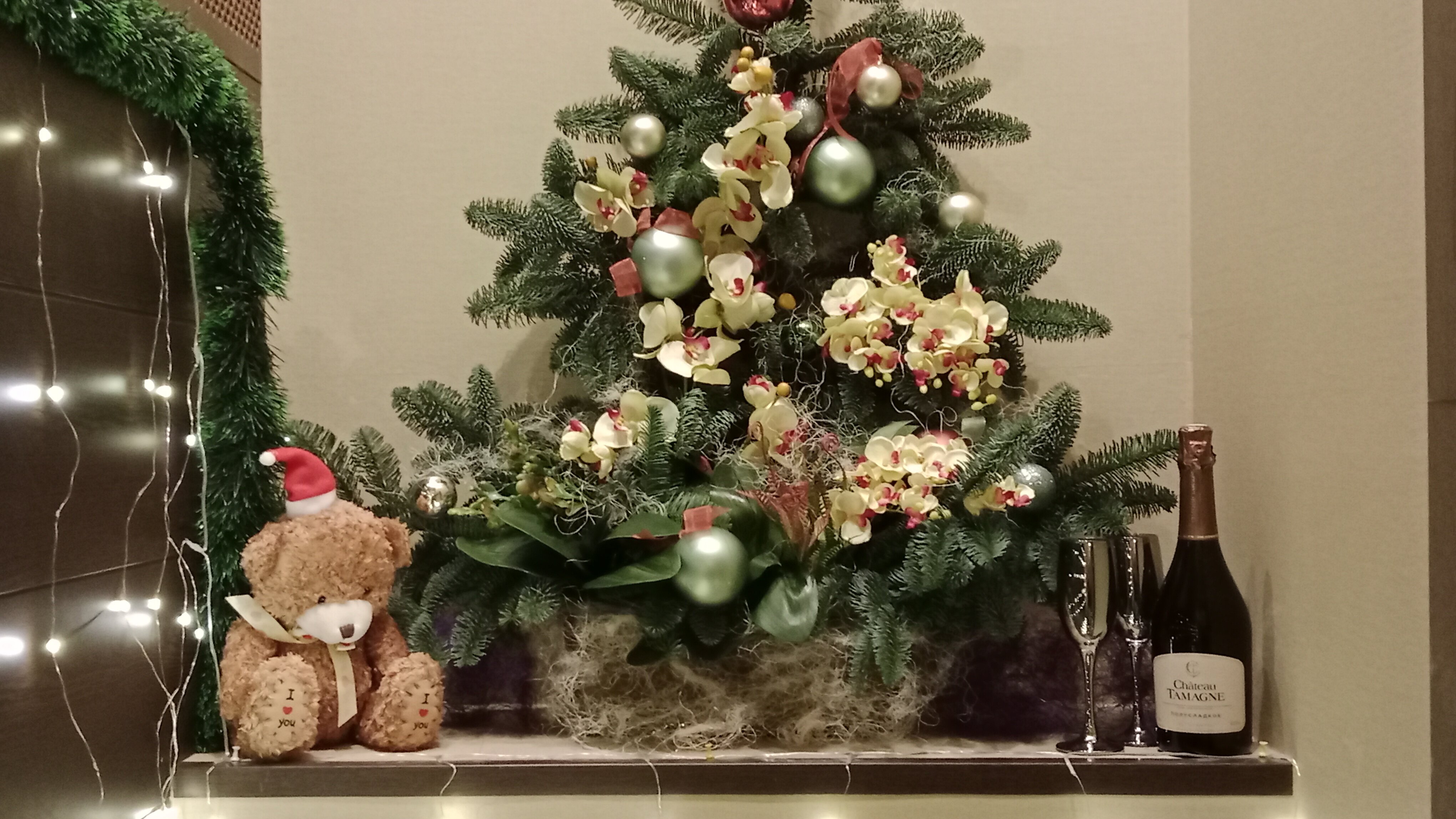 Фото My Favourite Garden