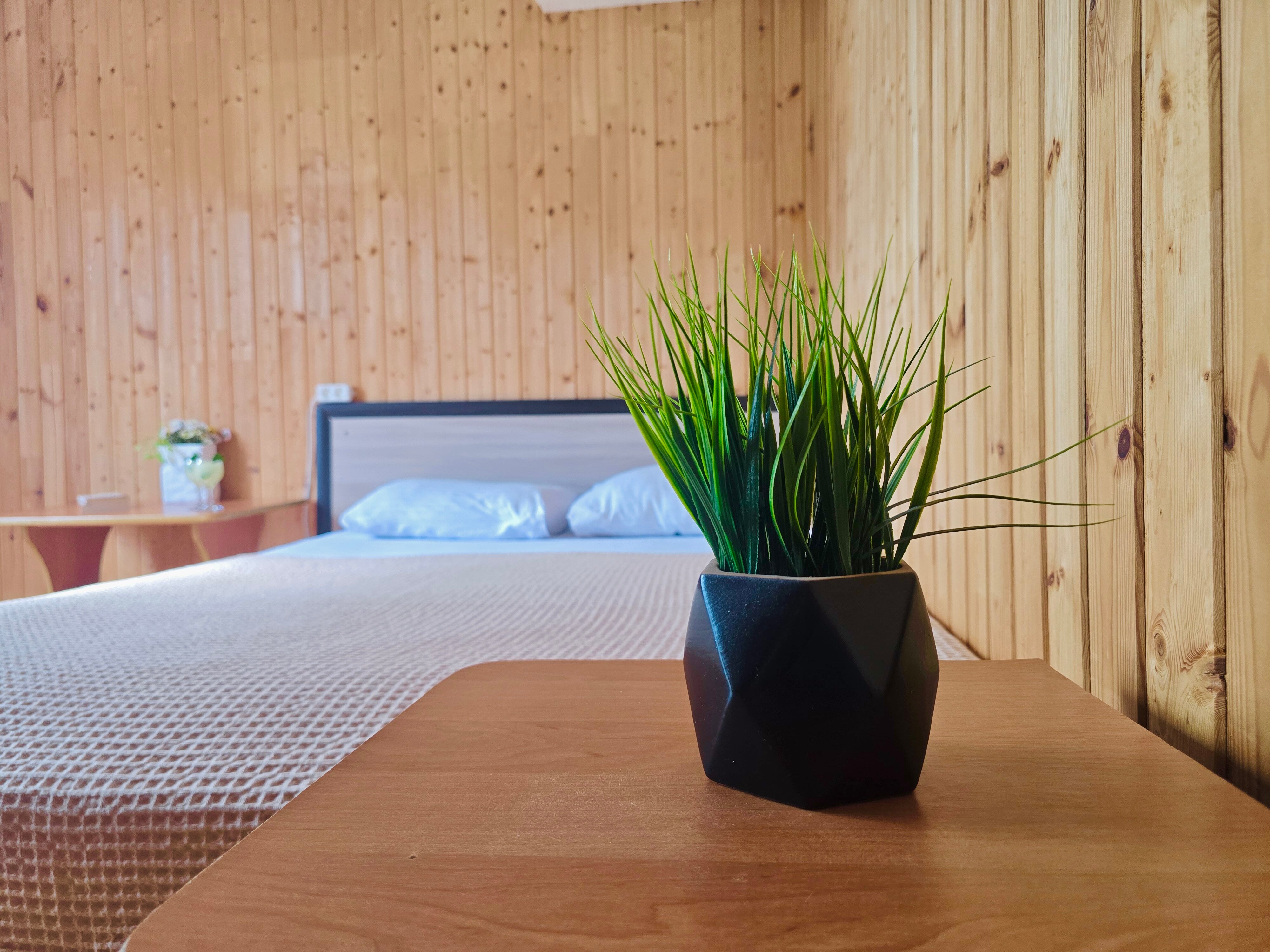 Фото Антиас