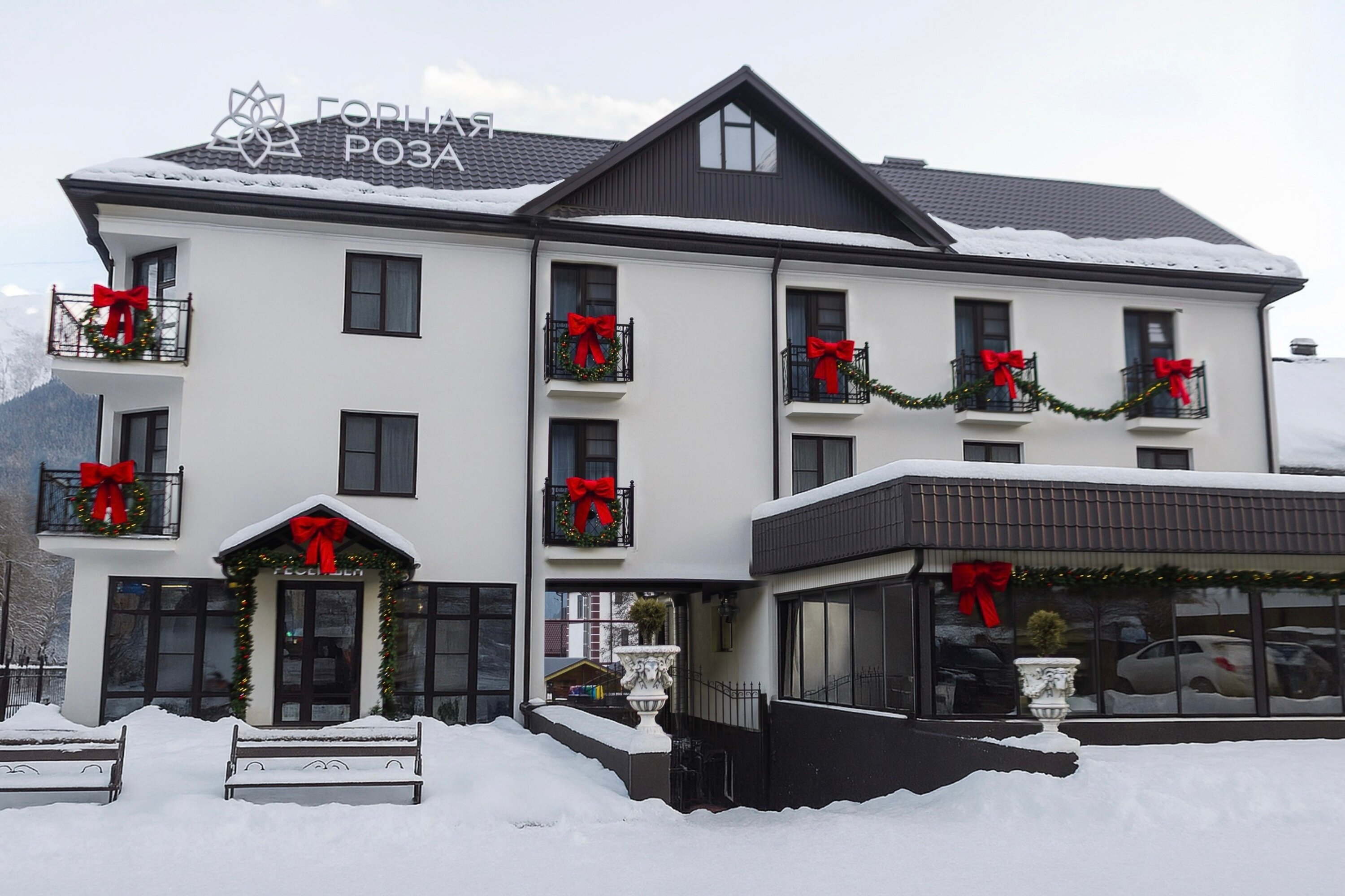 Фото Горная Роза