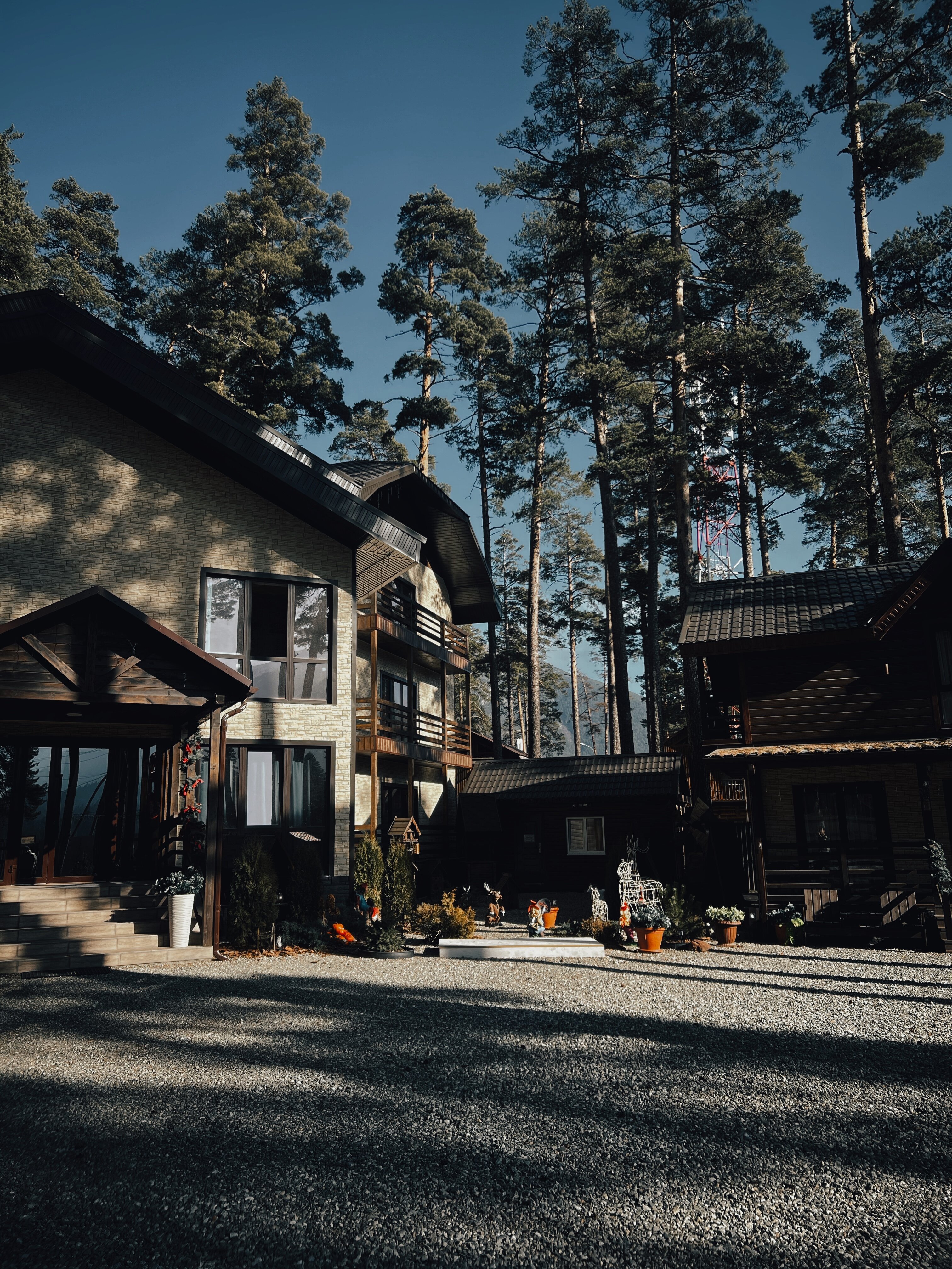 Фото Сосновый бор