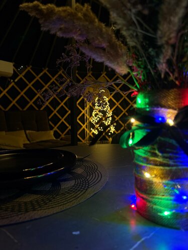 Турбаза Папоротник в Воронеже