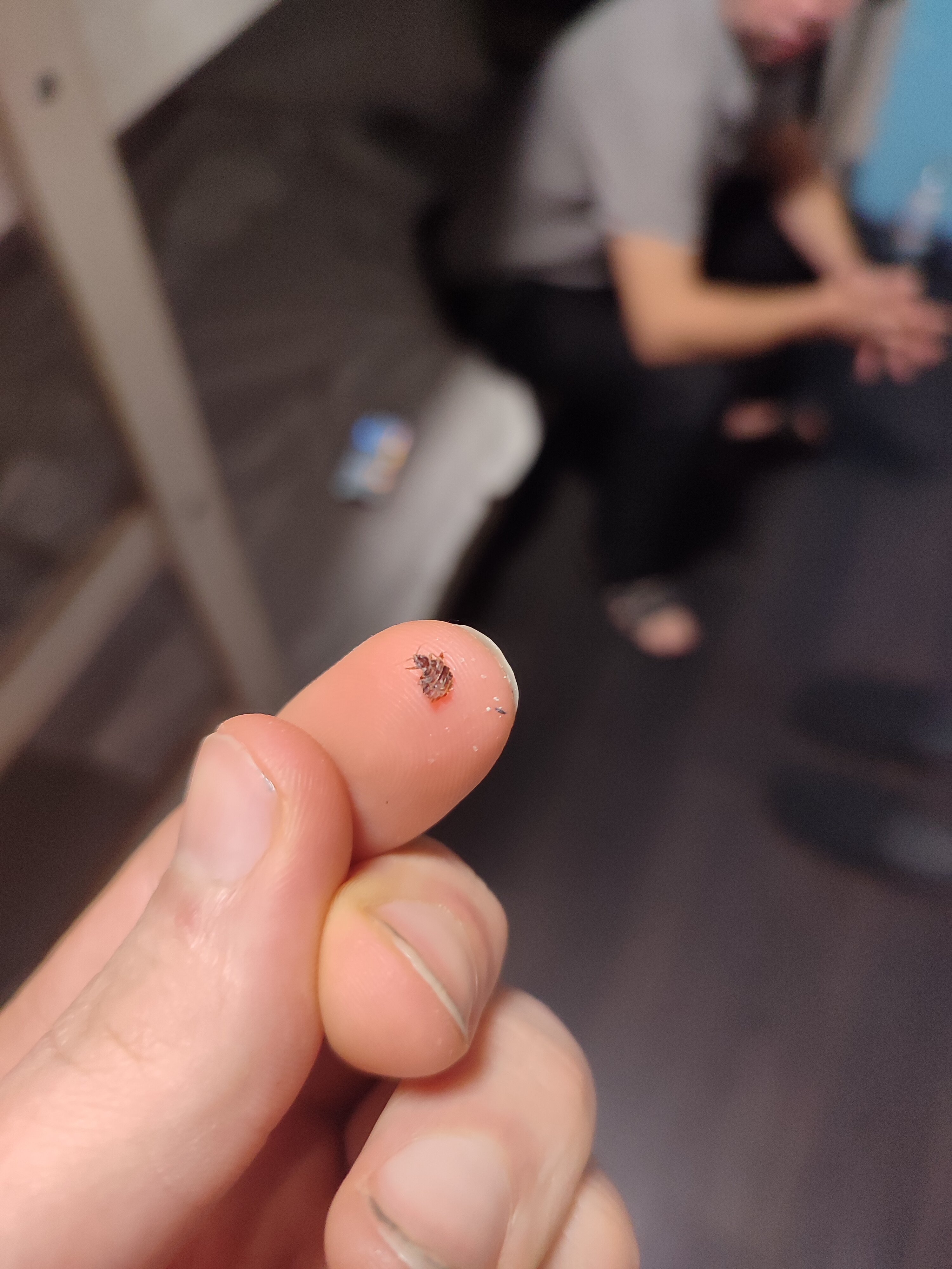 Фото ИжХостел