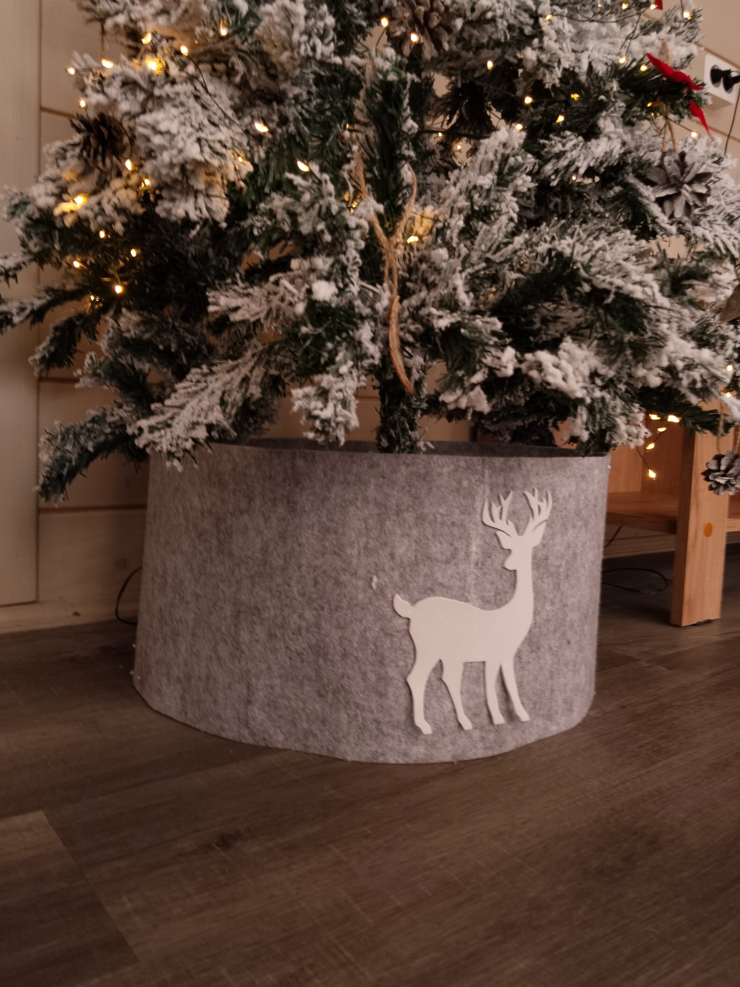 Фото Сосны. Тут