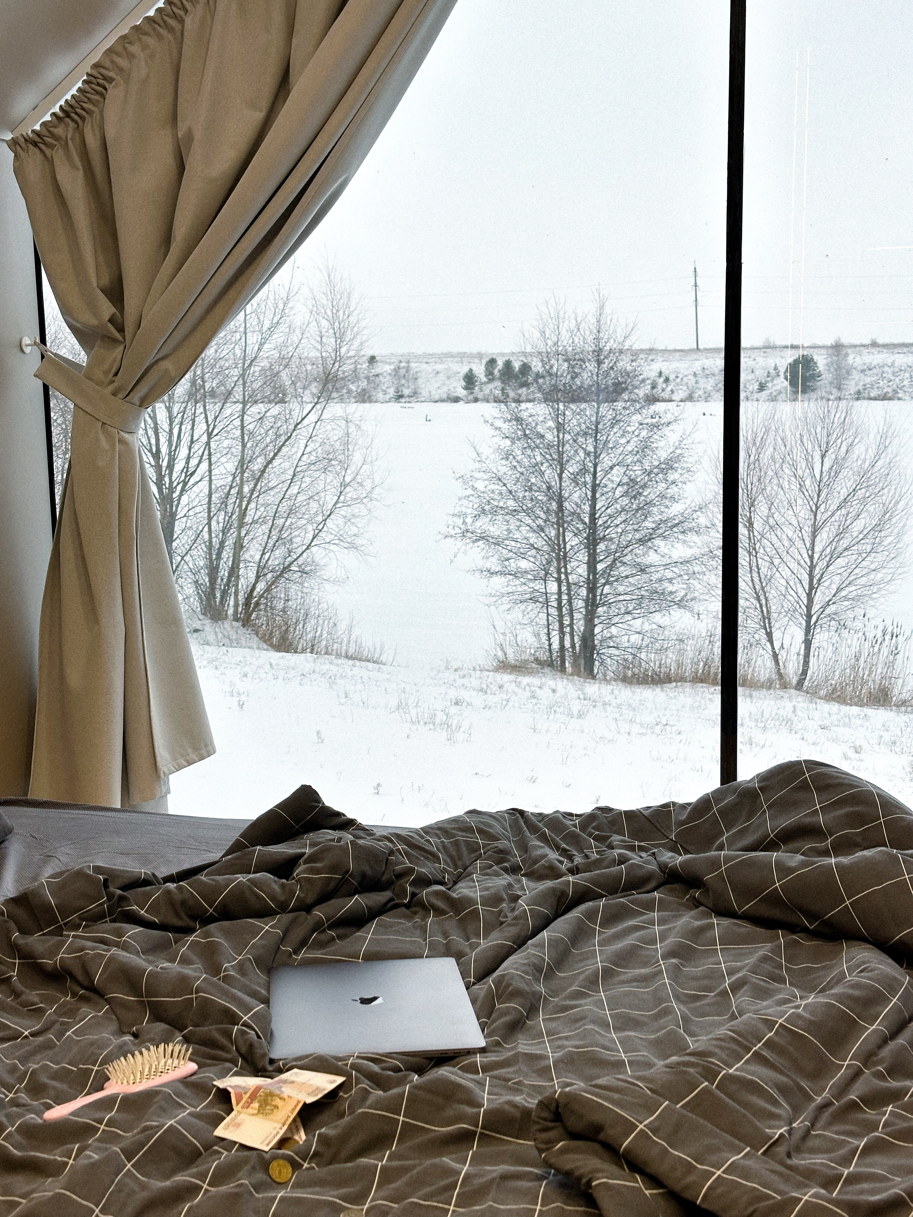 Фото Золотая Рыбка