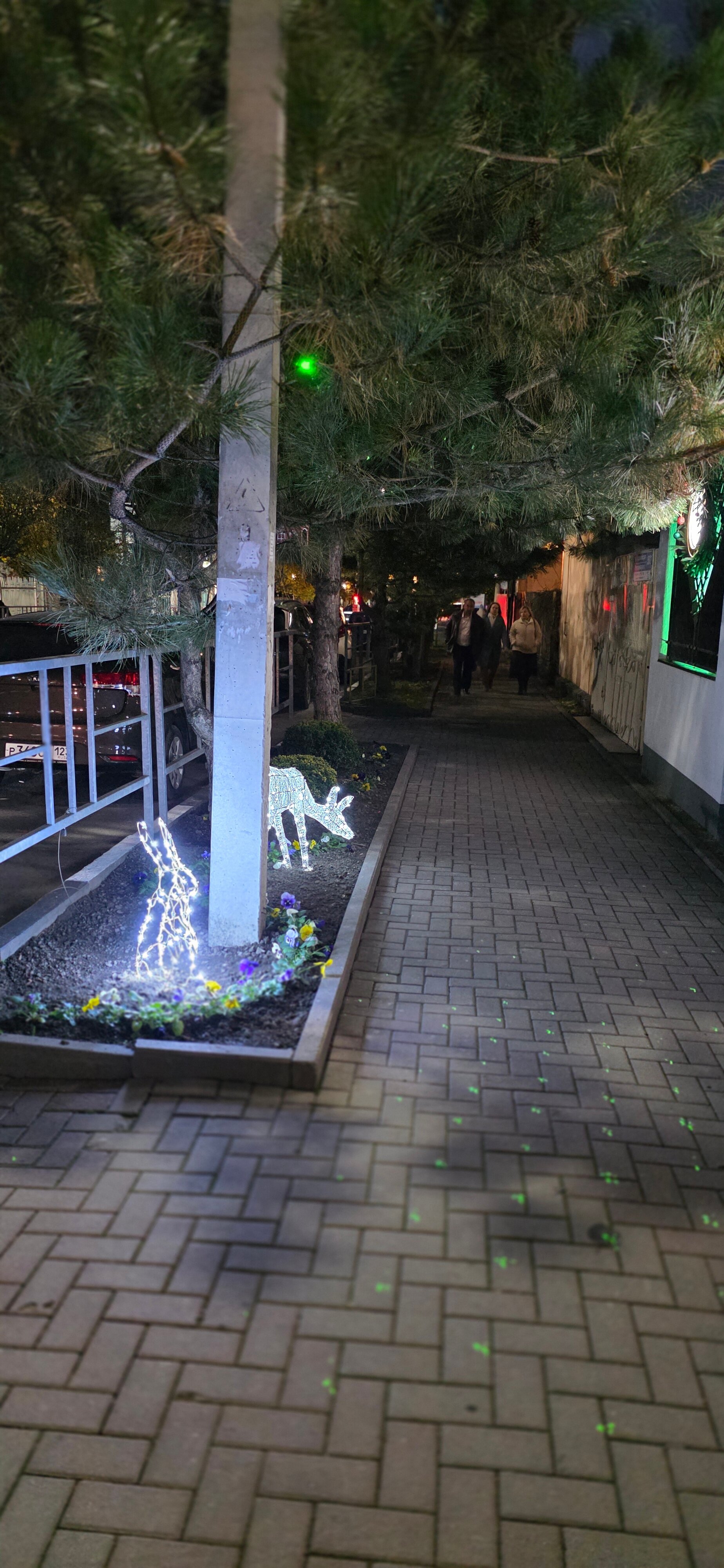 Фото Лермонт