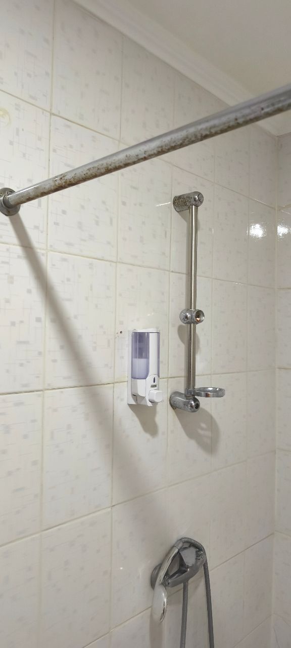 Фото Золотой Дракон