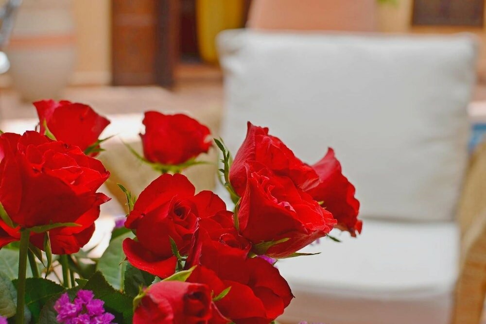 Фото Riad Hadda