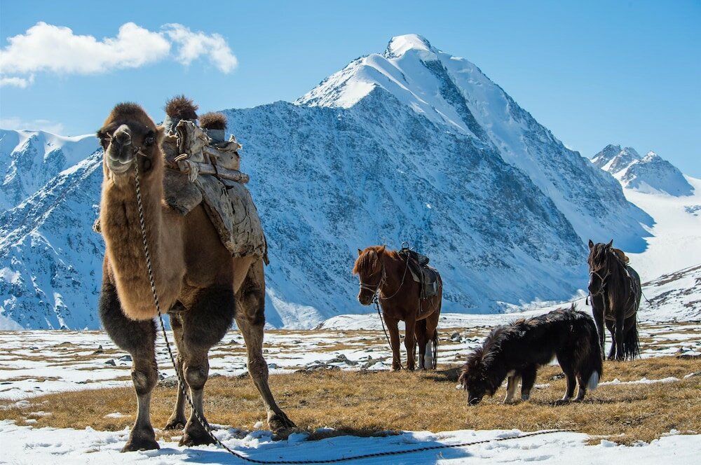 Фото Kempinski Hotel Khan Palace