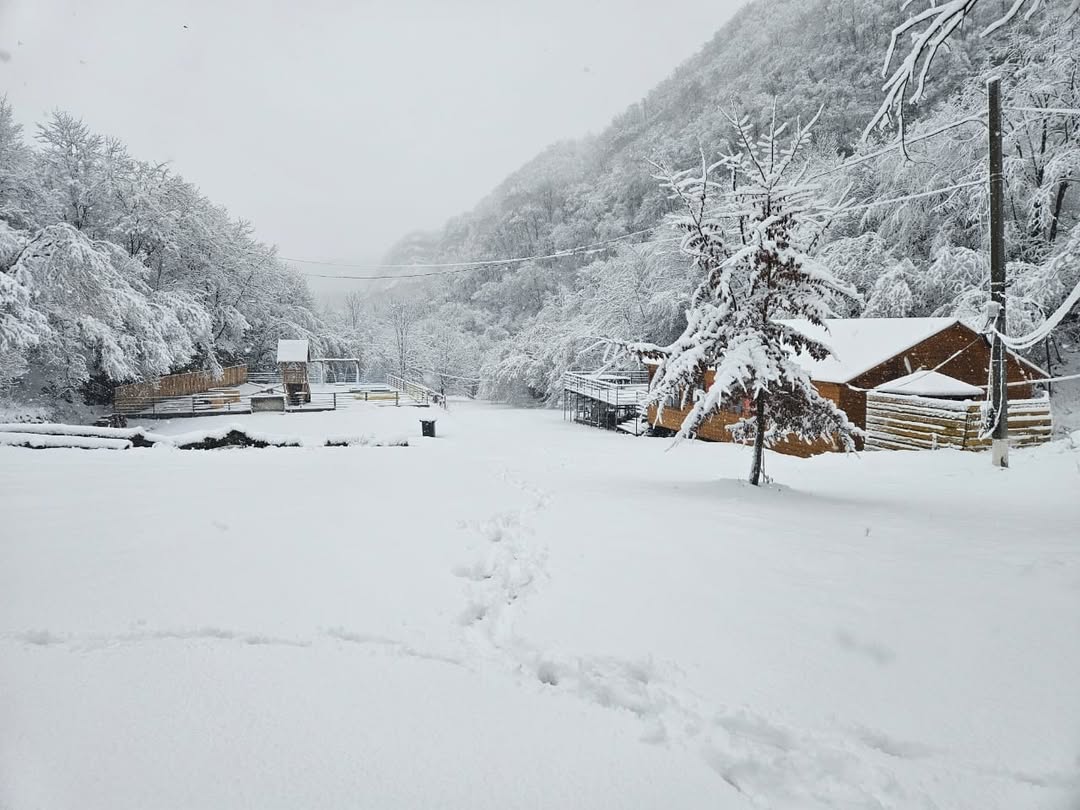 Фото БиоГорец