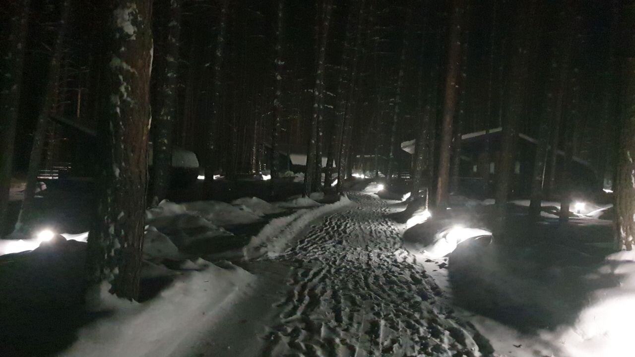 Фото ForRest