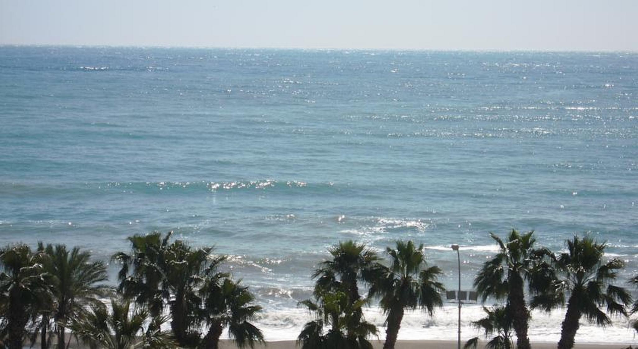 Фото Hotel Soho Boutique Los Naranjos