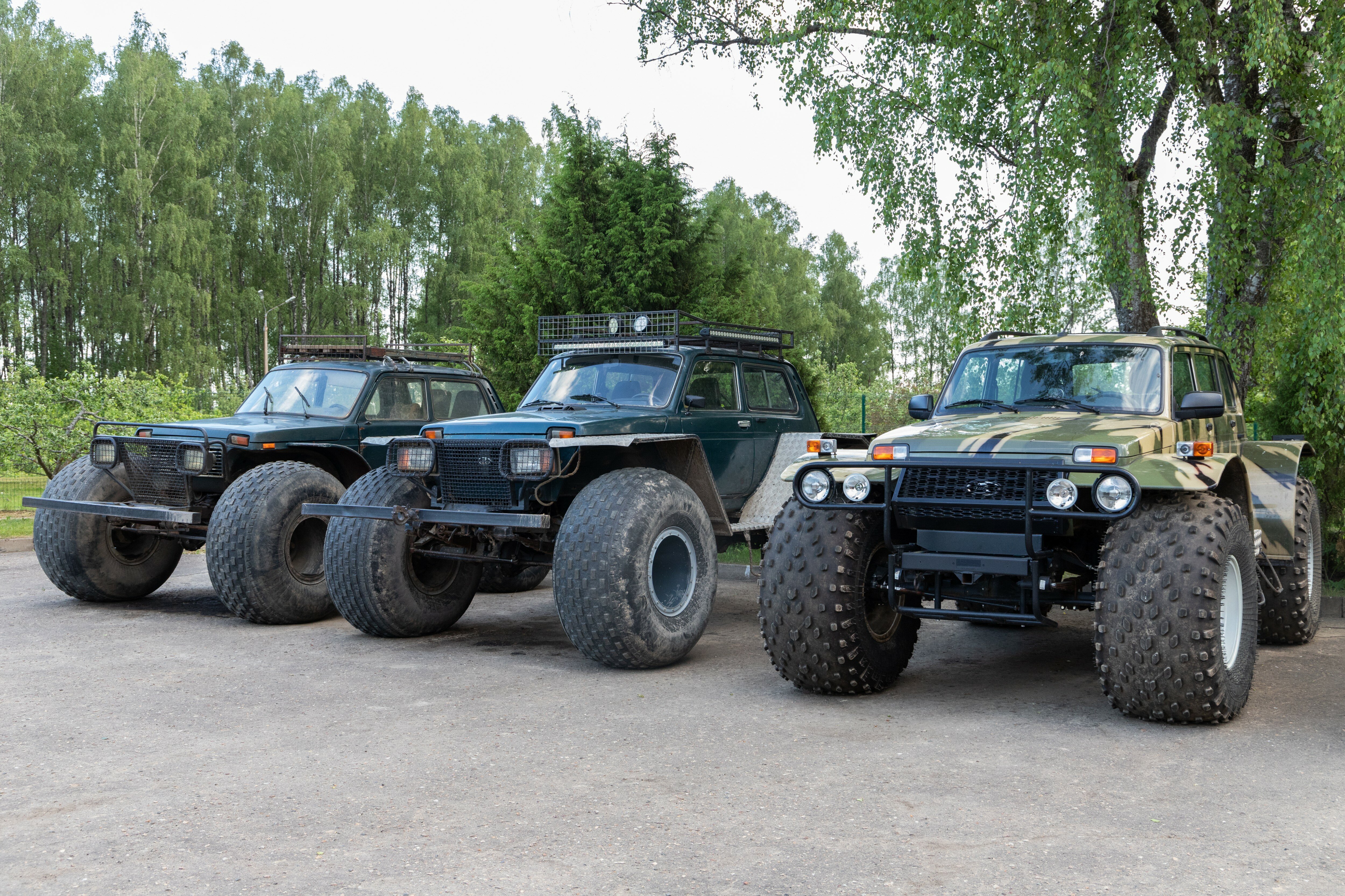 Фото Кречет