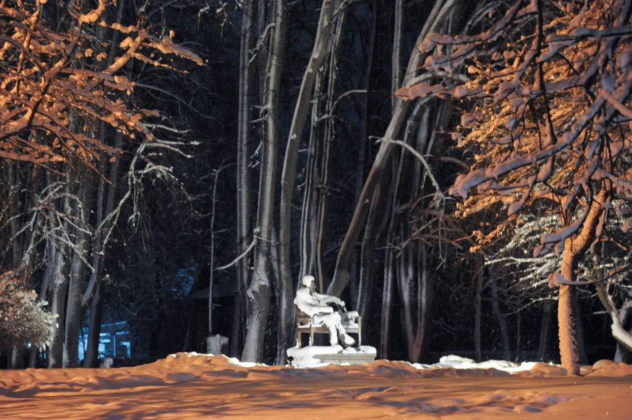 Фото Дом творчества имени Д. Н. Кардовского