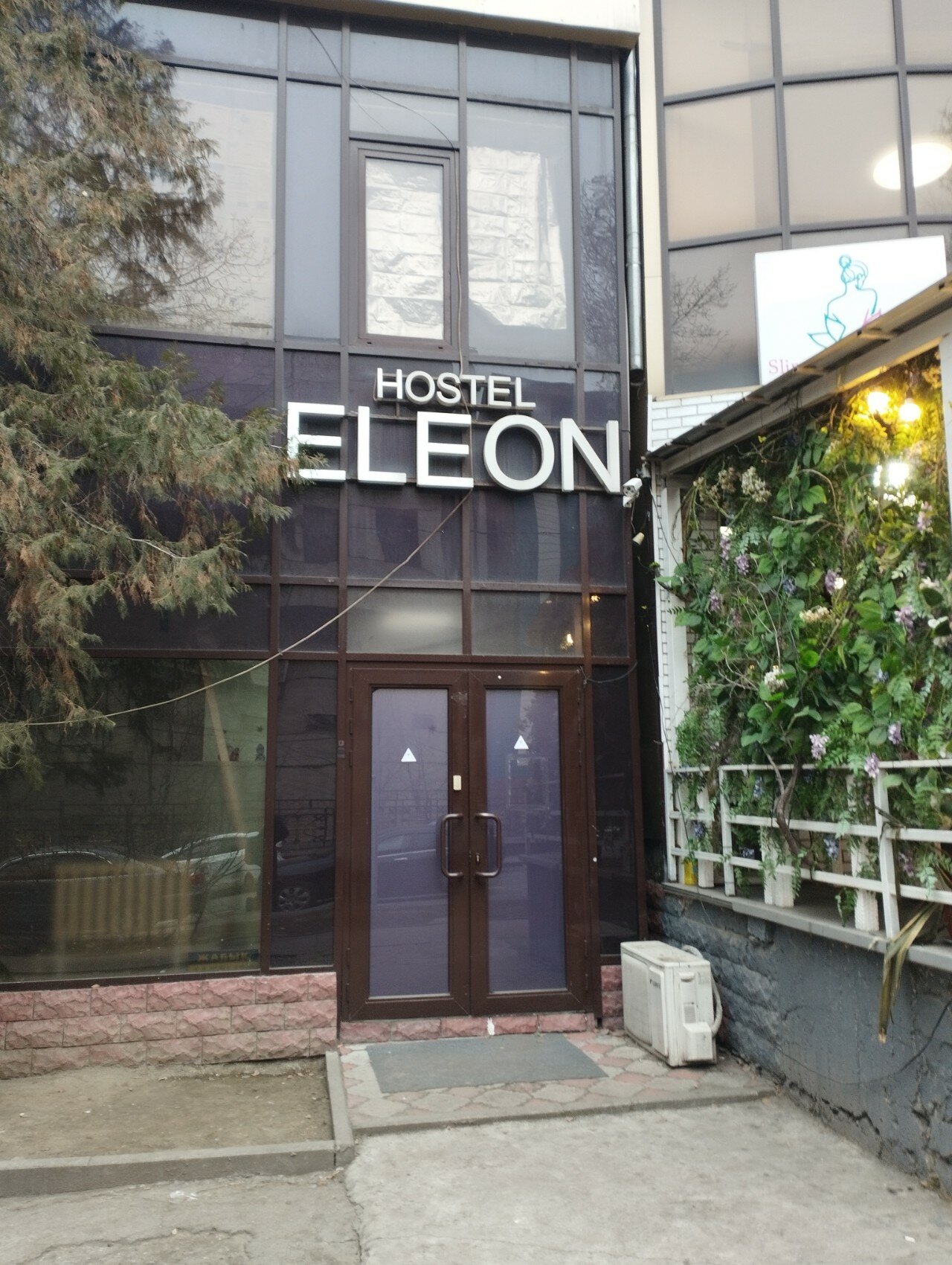 Фото Eleon