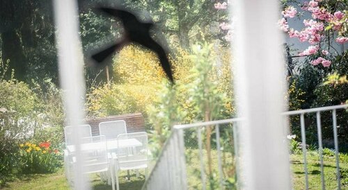 Гостиница Au Jardin в Золотурне