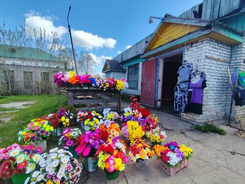 Gıda pazarı Мини-рынок, Tixvin, foto