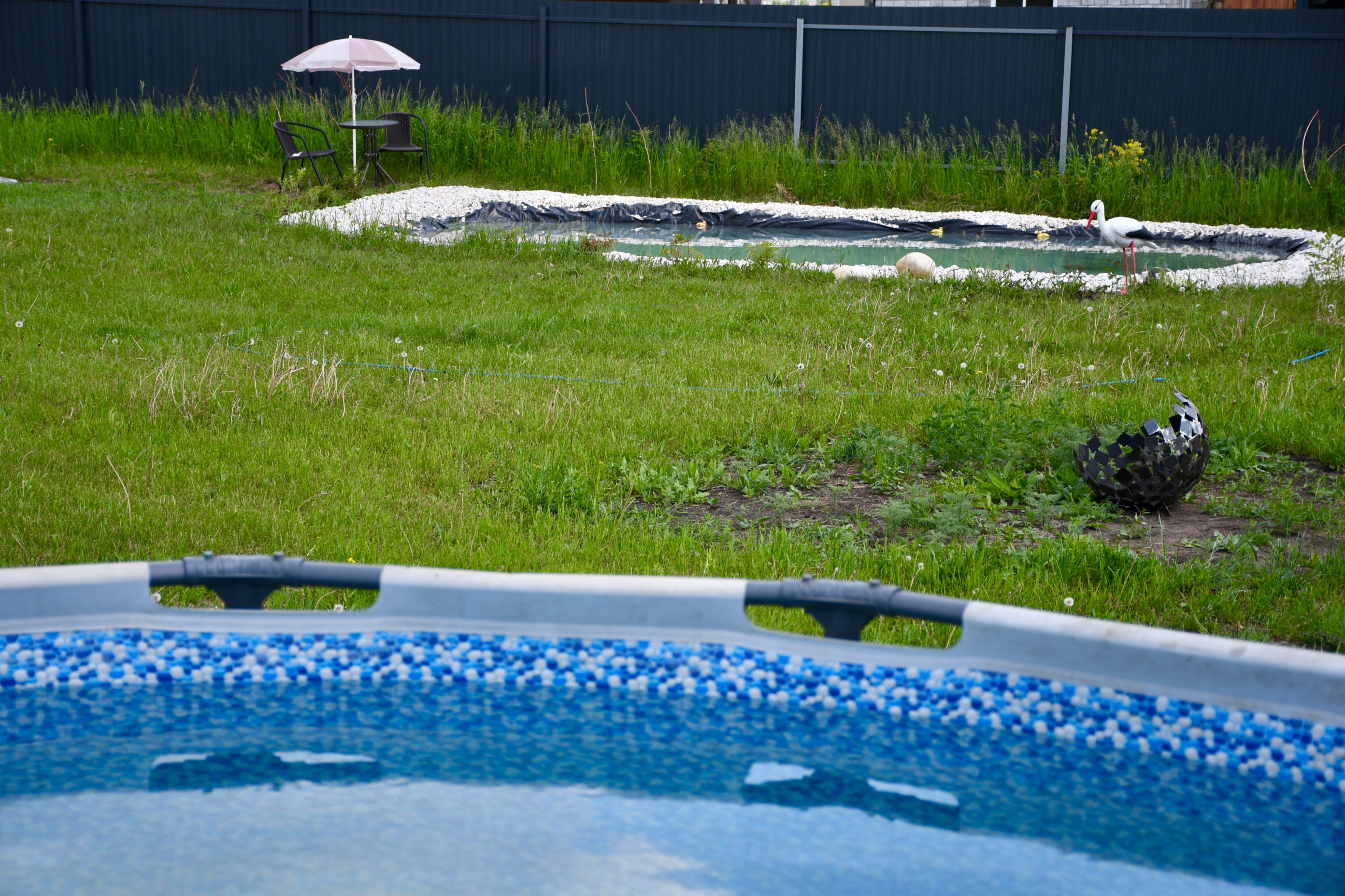 Фото Жар-Птица