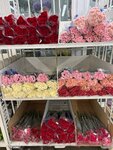 TsvetyTatyany (Settlement of Zavoda Mosrentgen, 22), flowers and bouquets delivery