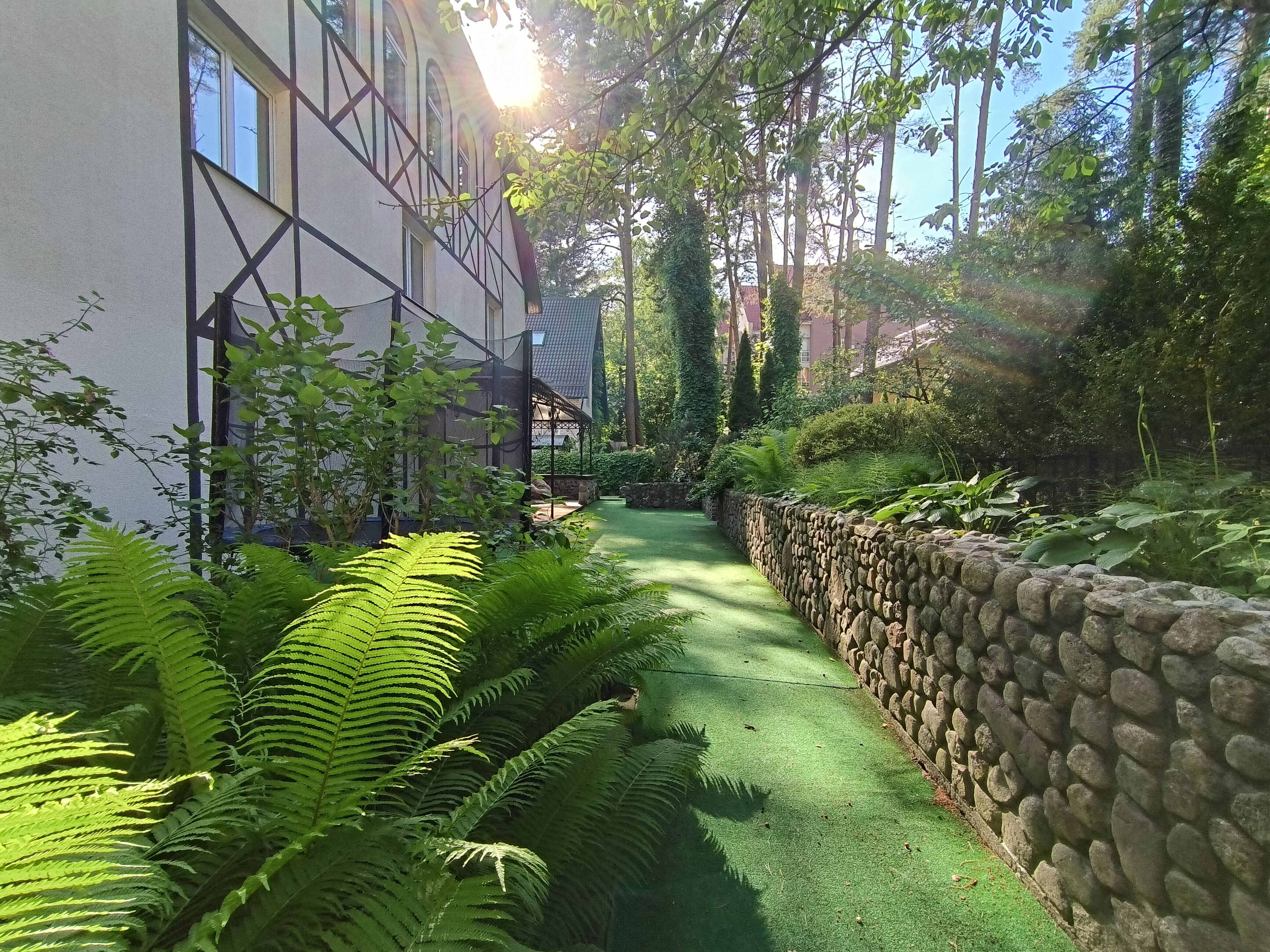 Фото Дом Дракона