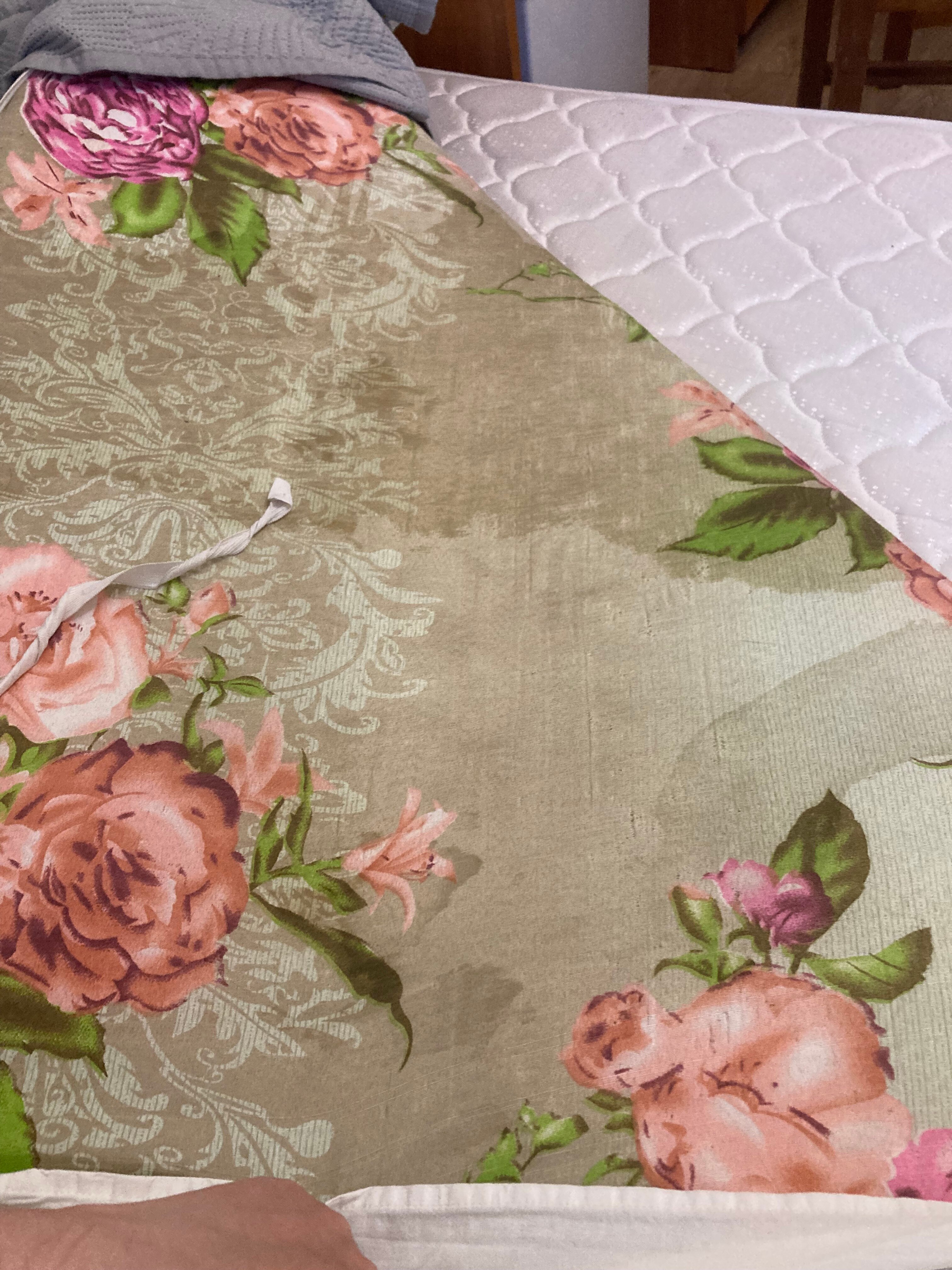 Фото Роза Ветров