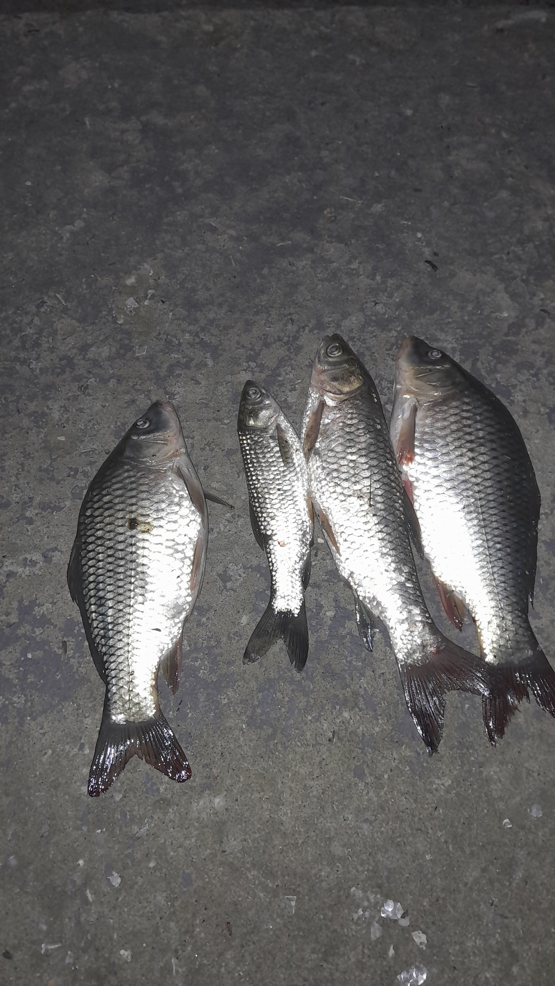 Фото Гранд Фазенда