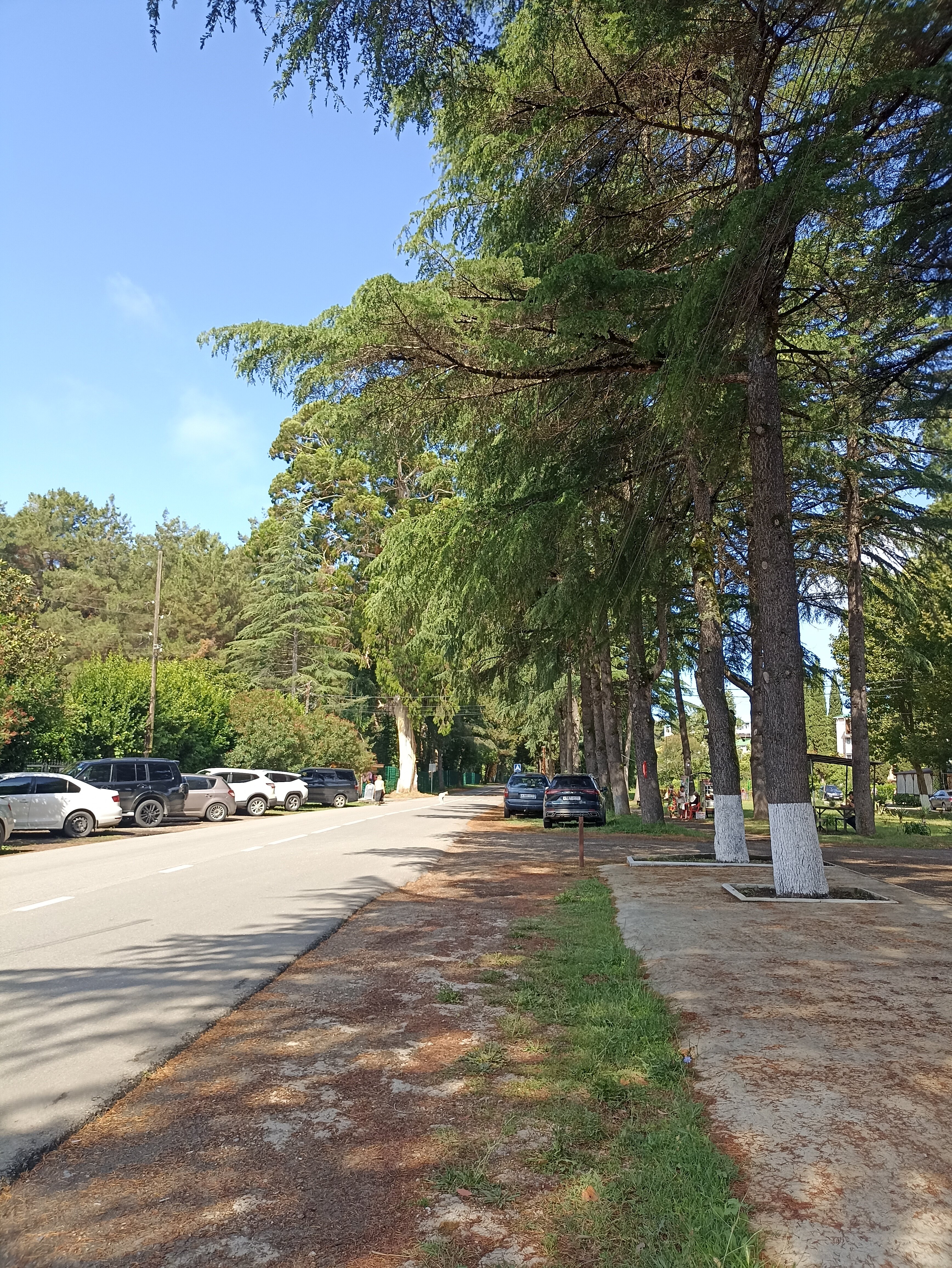 Фото Sezam Hotel