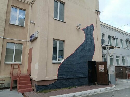 Trikotaj igna bilan teshilgan kokraklar