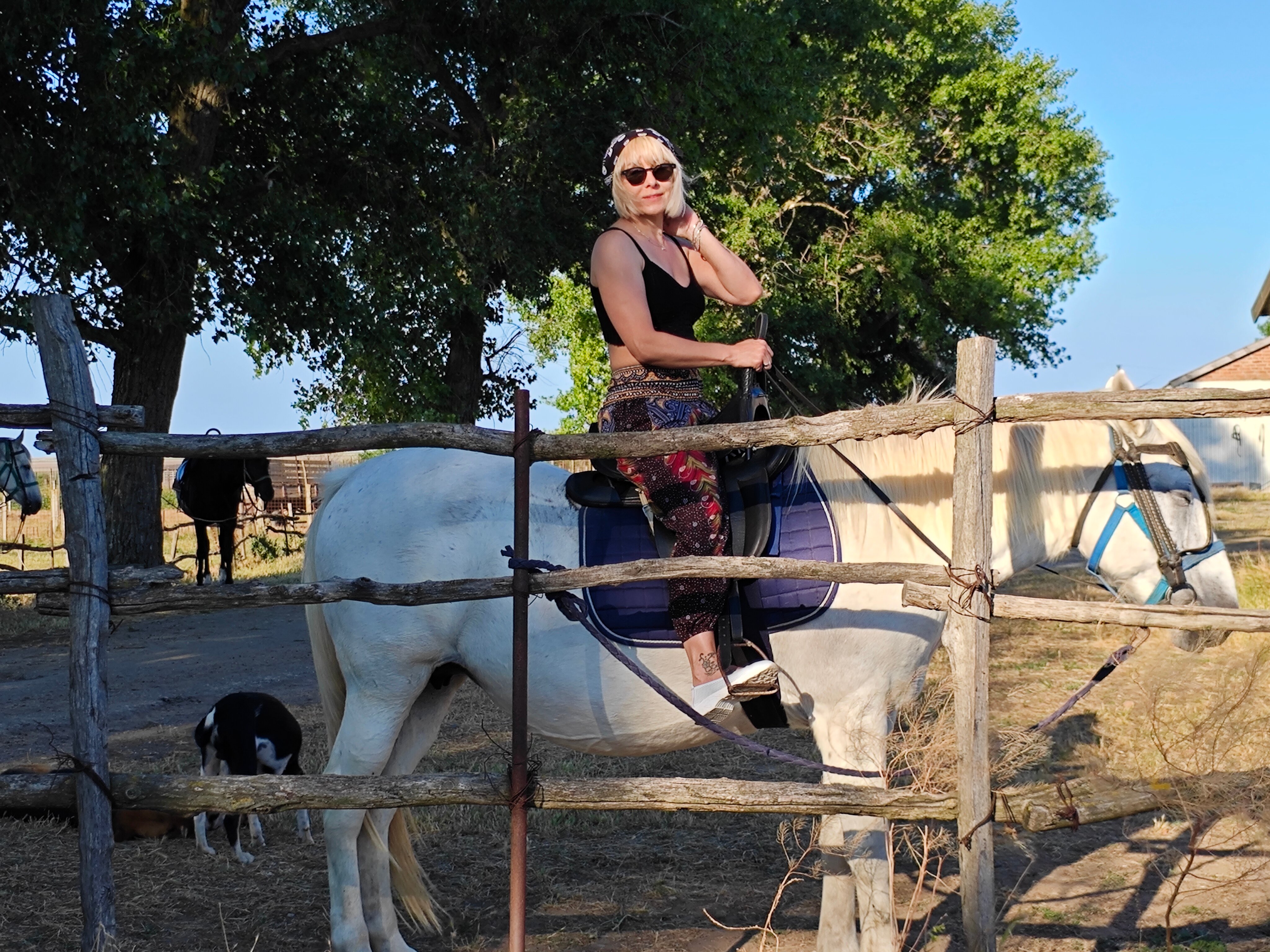 Фото Астери