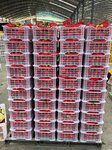 ApexFood.ru (Ostashkovskoye shosse, вл1Бс7), foodstuffs wholesale
