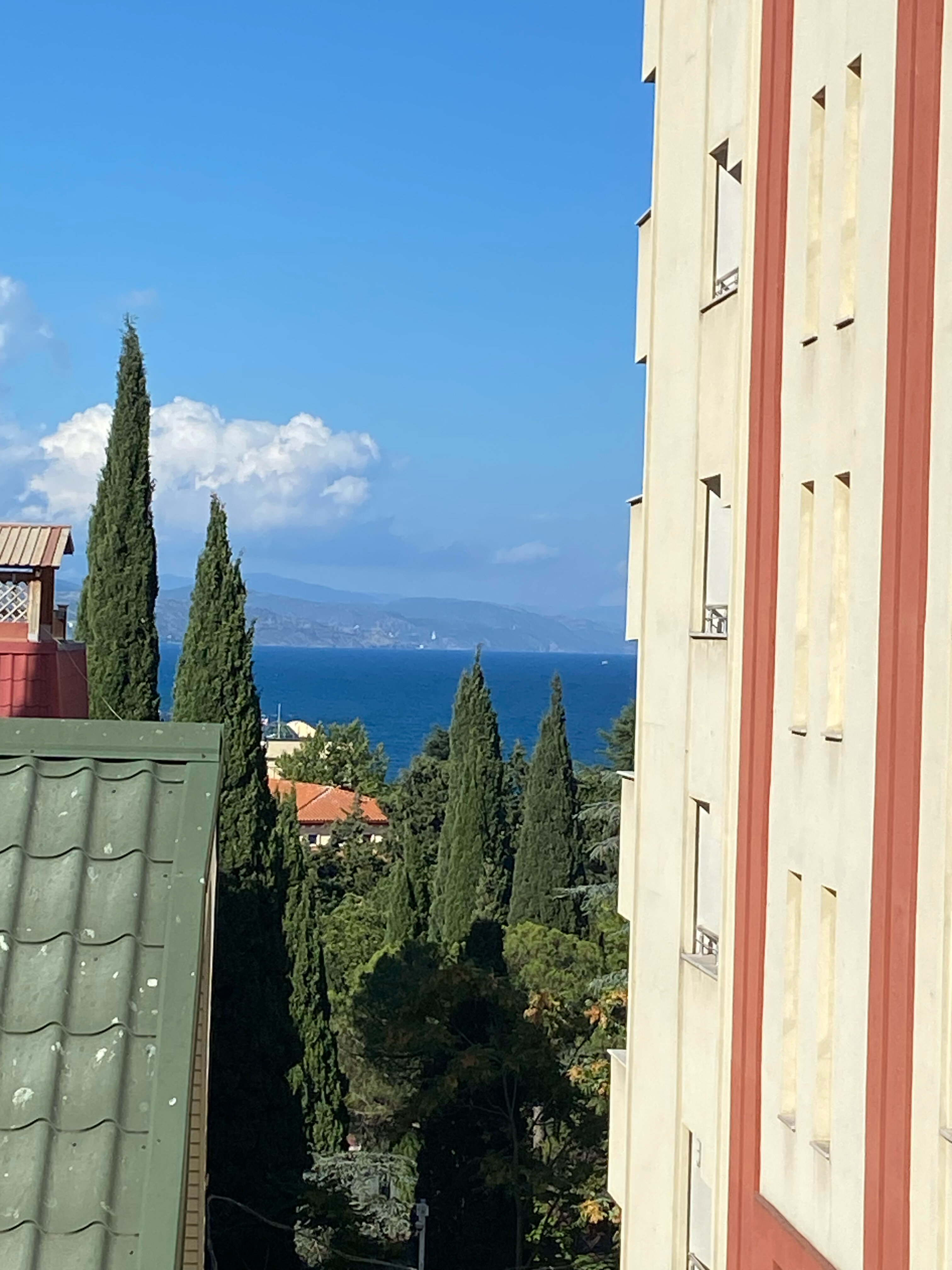 Фото Цитрус