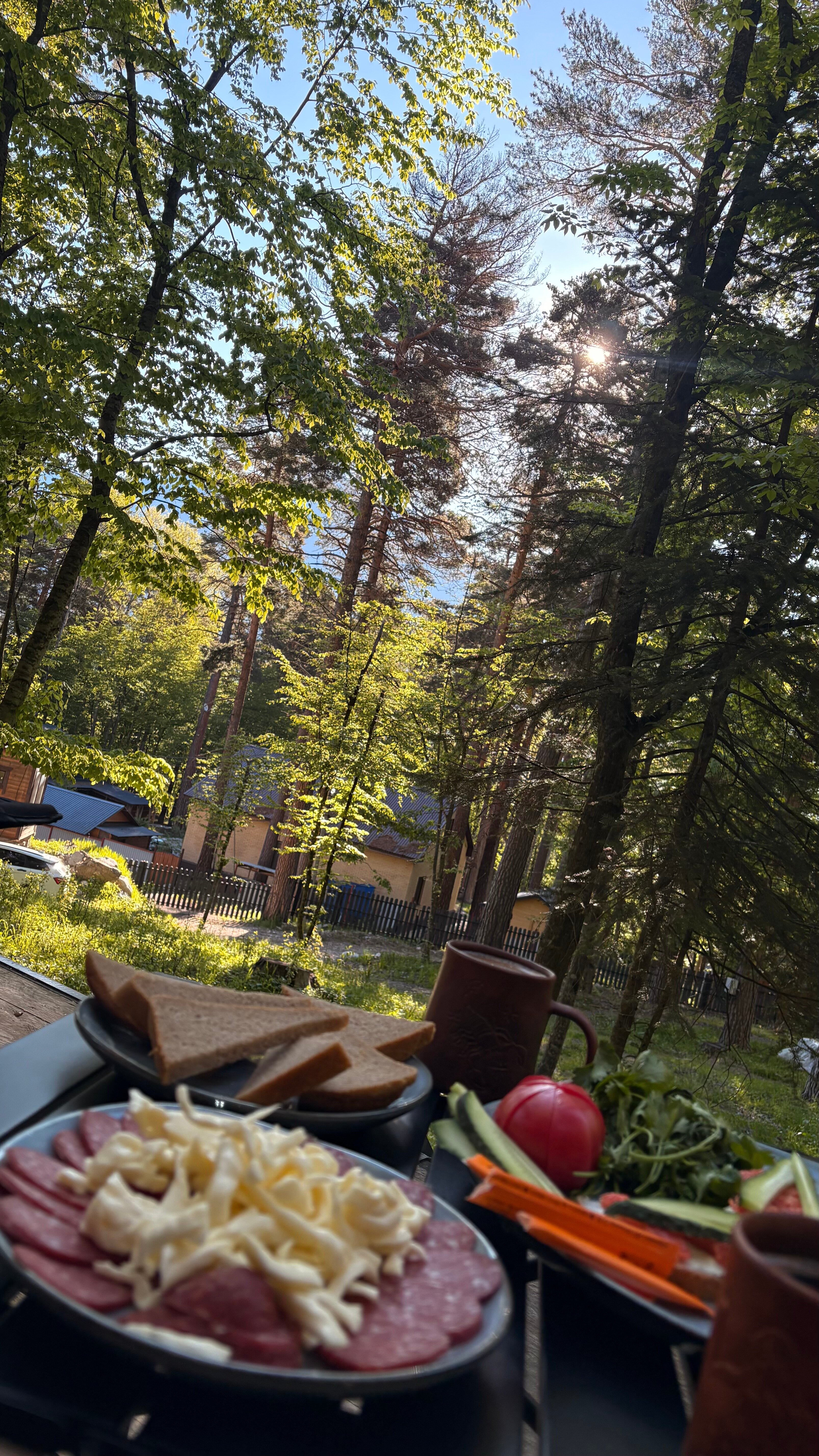 Фото Шелест