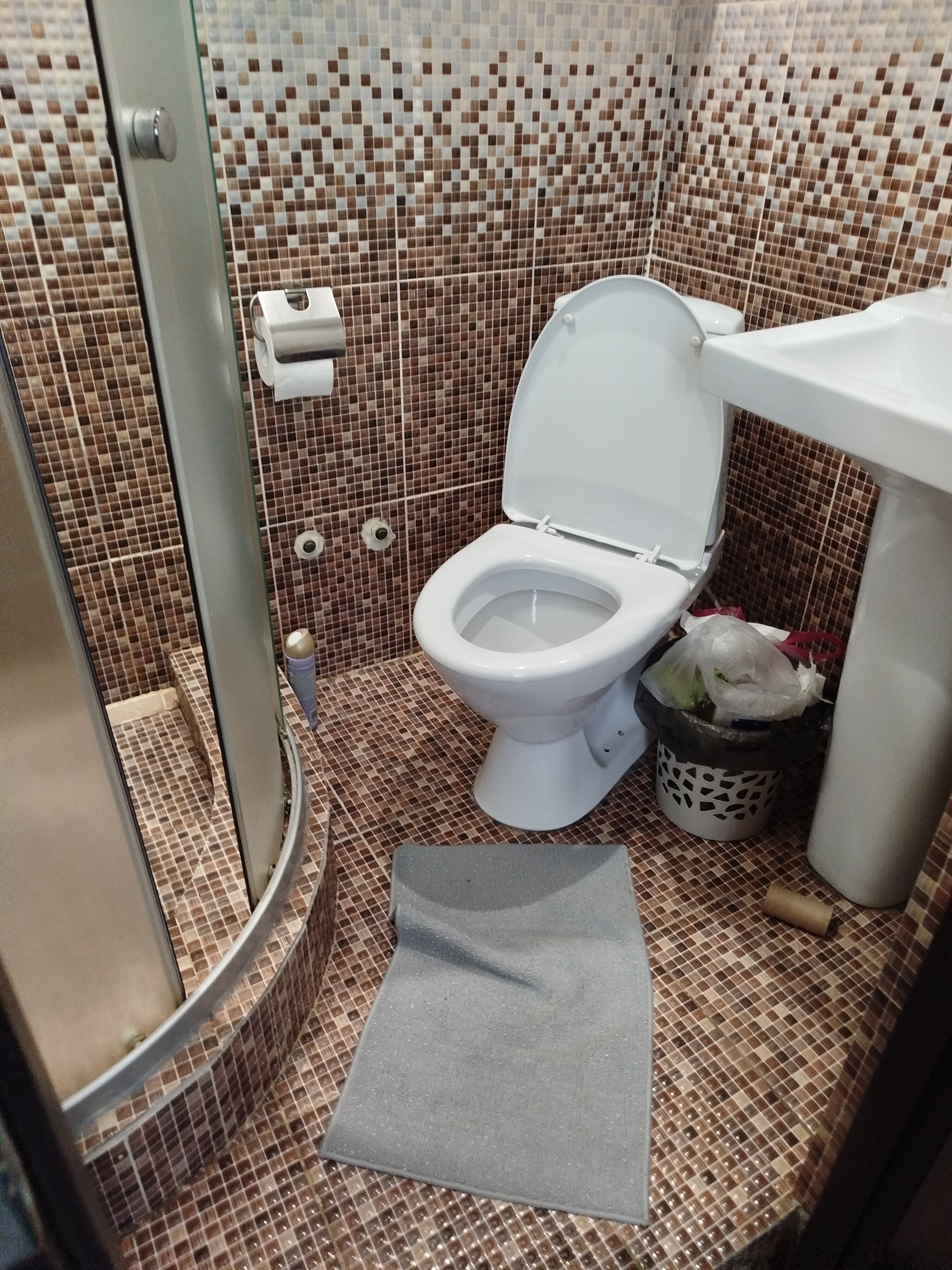 Фото Брусника Амурская