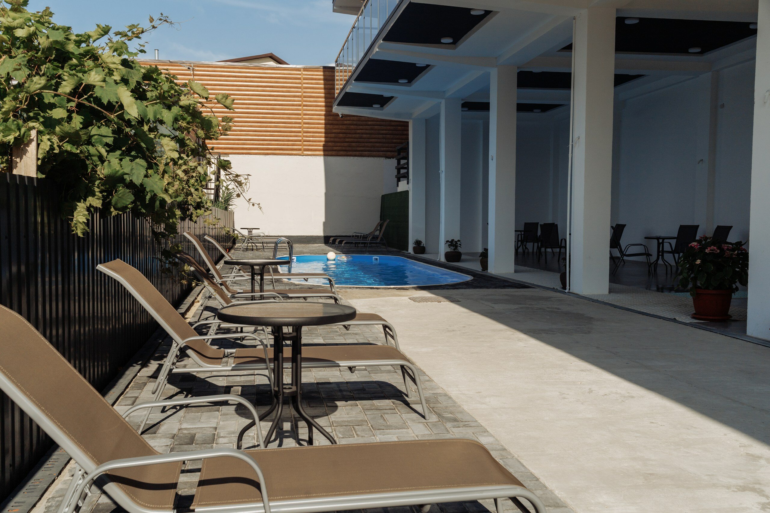 Фото Филоксения