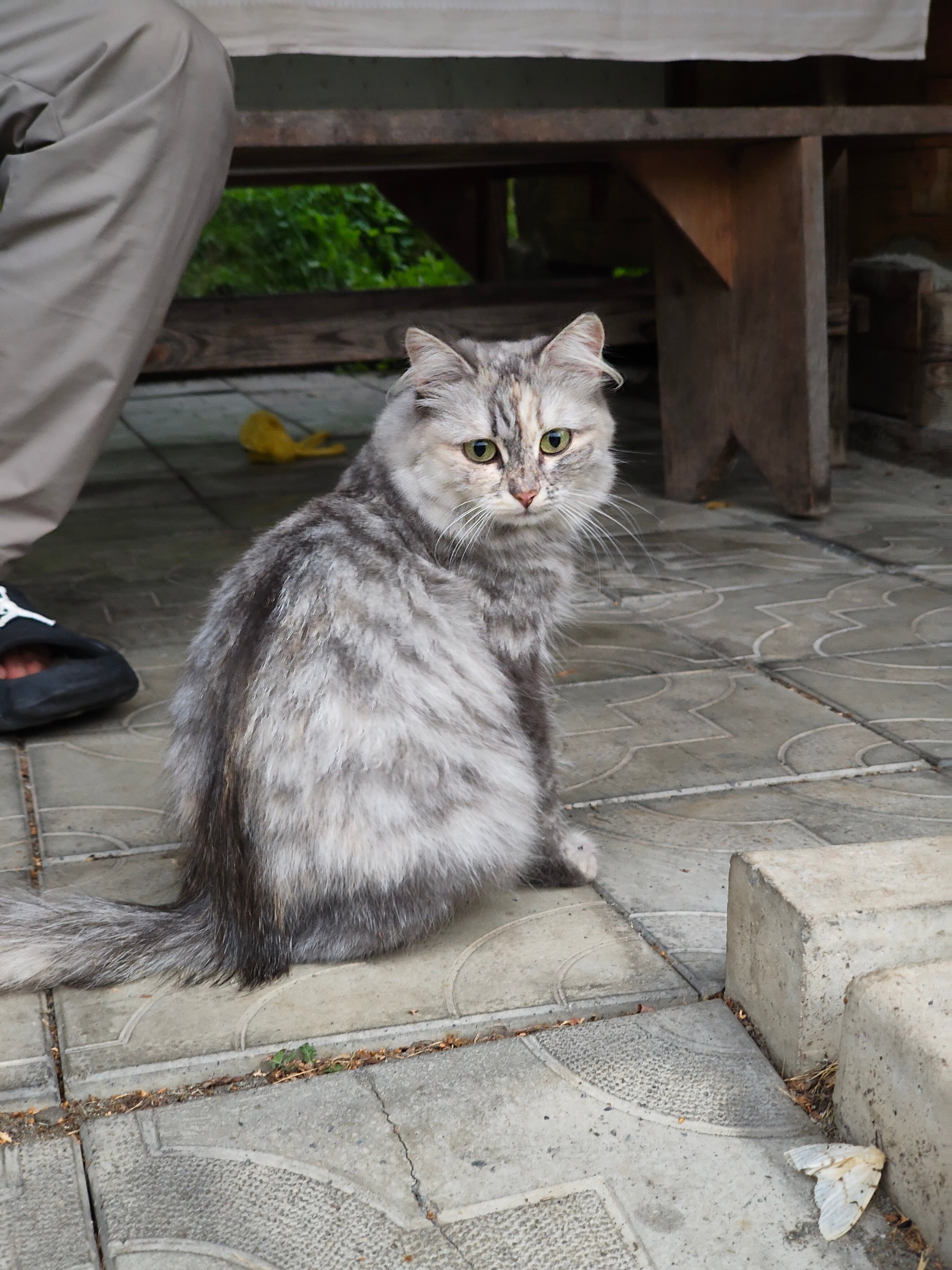 Фото Катунский утёс