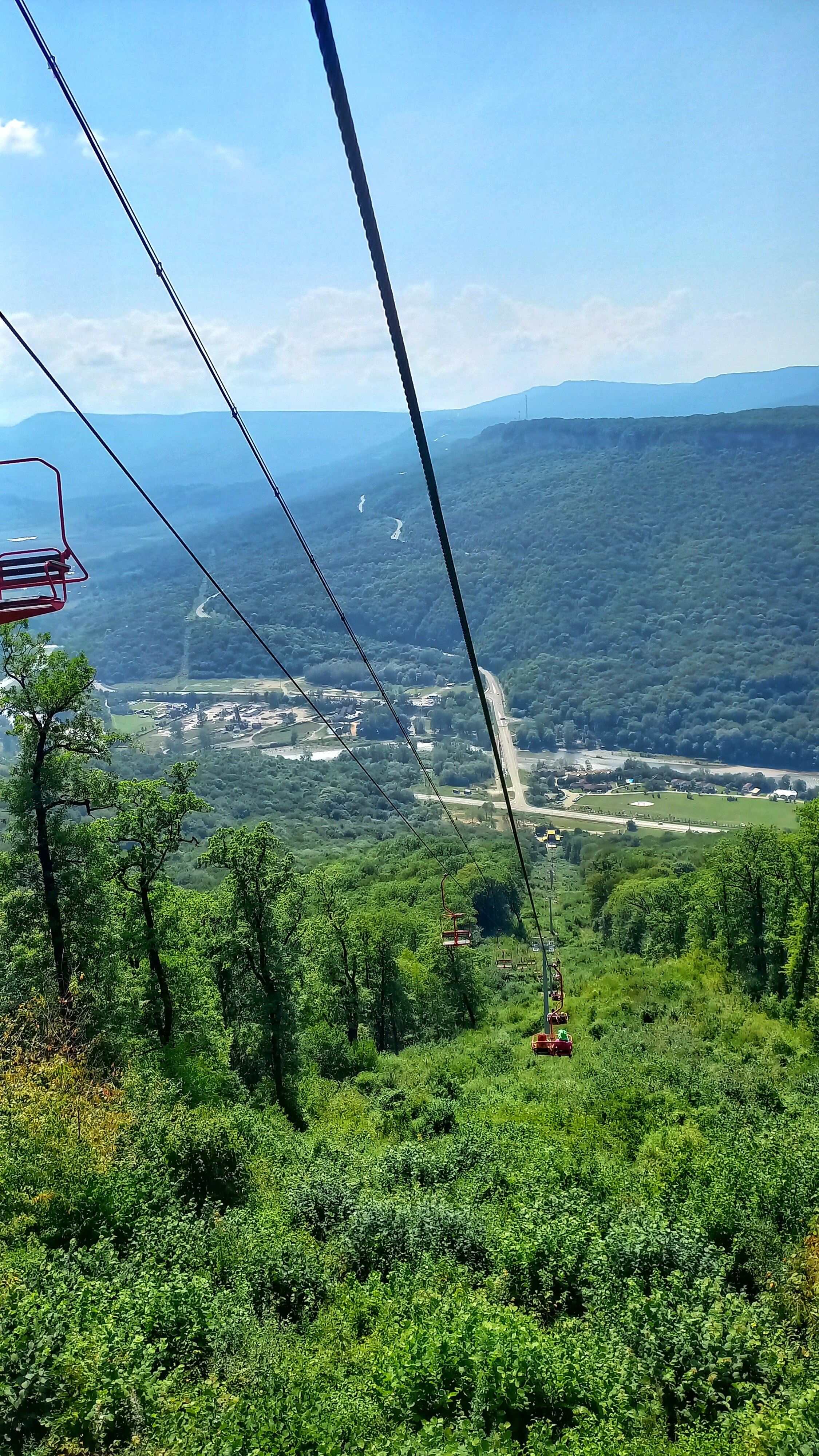 Фото Кактус Арт